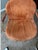 Gastone Rinaldi Vintage 1970s Italian Gastone Rinaldi "Sabrina" Cantilever Dining Chairs for Rima - Set of 4 For Sale - Image 4 of 8