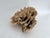 Chinoiserie Exceptional Natural Unbleached Poca Coral Specimen For Sale - Image 3 of 8