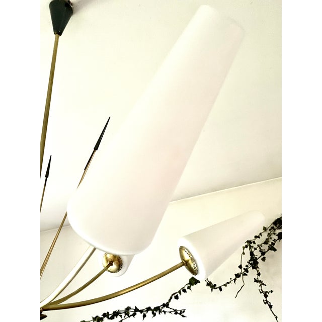 1950s Large Chandelier from Maison Arlus, 1950 For Sale - Image 5 of 9