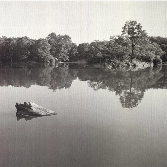 Artist: Joel Greenberg Title: Central Park Year: 1978 Signed: No Medium: Offset Lithograph Paper Size: 24 x 18 inches (...