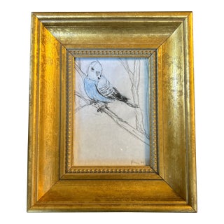 Contemporary Original Anna Heigh Parakeet Colored Pencil Drawing For Sale