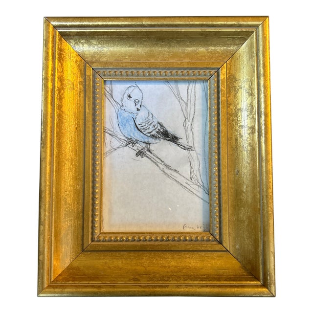 Contemporary Original Anna Heigh Parakeet Colored Pencil Drawing For Sale