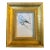 Contemporary Original Anna Heigh Parakeet Colored Pencil Drawing For Sale