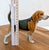 Mid-Century Modern Vintage MCM Andrea by Sadek Beagle Dog Figurine Japan For Sale - Image 3 of 8