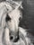 2010s Too Bright or Too Dark, The Effect is the Same by Michael Dowling | Oil, Charcoal on Canvas Horse in motion against a dark background. For Sale - Image 5 of 5