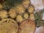 Late 20th Century Large Vintage Italian Ceramic Tray / Wall Platter, Hand-Painted in Fall Tones - Tuscan Decor - See Pics! For Sale - Image 5 of 7