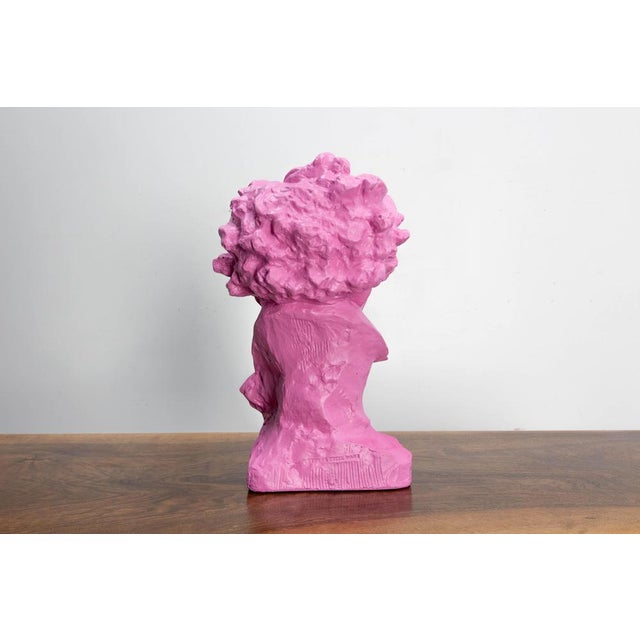 Pop Art Plaster Bust of Ludwig van Beethoven in Terracotta, 1890s For Sale - Image 3 of 8