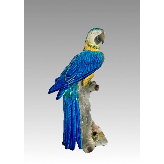 Magnificent royal blue Italian Macaw, hand painted, hollow cast and signed. This striking bird is perched on a gentle grey...