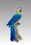 Magnificent royal blue Italian Macaw, hand painted, hollow cast and signed. This striking bird is perched on a gentle grey...