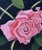 "Pink and Blushing" is the inaugural member of George's new series, "Studio Gems"--just a little larger--just a little...