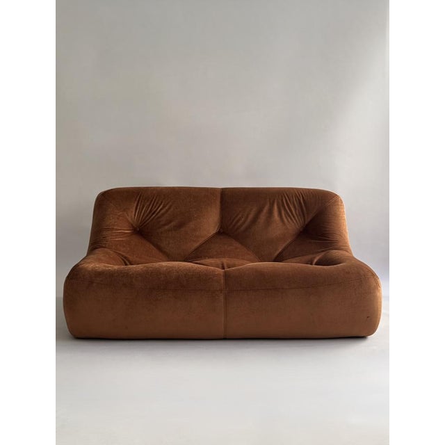 Brown Kali 2-Seater Sofa by Michel Ducaroy for Ligne Roset, 1980s For Sale - Image 8 of 8