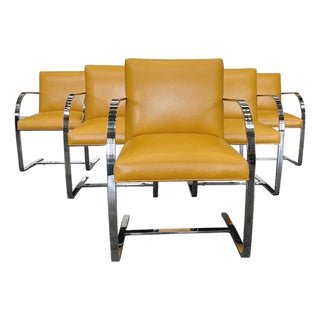Chrome & Yellow Leather Chairs in the Style of Ludwig Mies Van Der Rohe & Lilly Reich - A Set of 6 For Sale