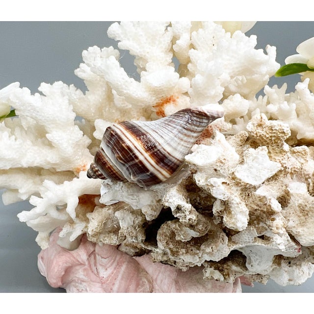 White Folk Art Coral & Shell Flower Arrangement – Coastal Decor With Swirled Composite Base For Sale - Image 8 of 15