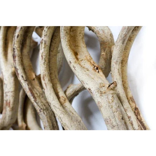 2020s Natural Vine Hanging Rectangle Wall Art Single For Sale - Image 5 of 9