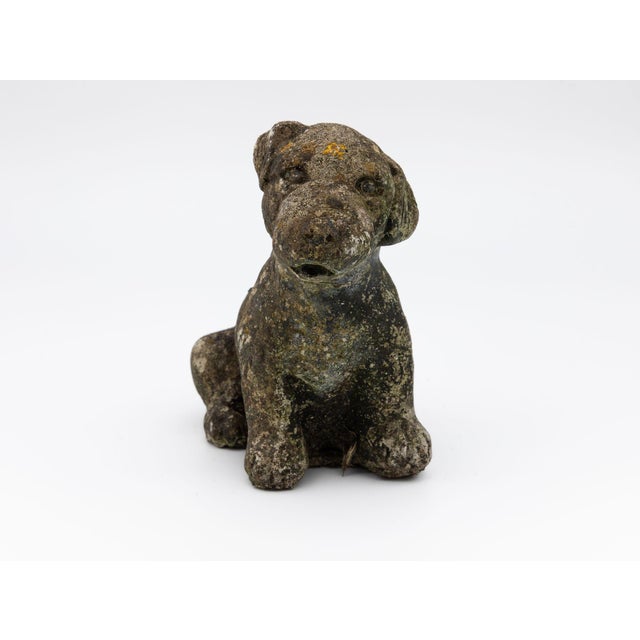 Sculpture Materials Reconsitituted Stone Puppy or Dog Garden Ornament, England Mid 20th C. For Sale - Image 7 of 8