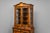Biedermeier Display Cabinet, 1850s For Sale - Image 15 of 18