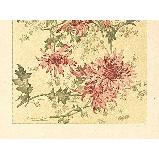 Art Nouveau C1900 French Art Nouveau Botanical Design Chromolithograph by Habert Dys For Sale - Image 3 of 4