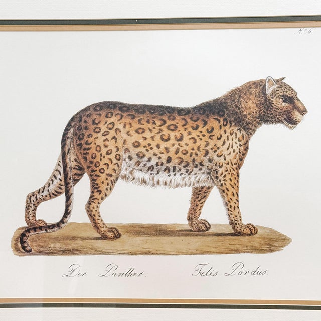 This striking oversized print is a high-quality reproduction of "Der Panther", one of the most iconic works by the Swiss...