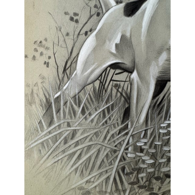 Illustration 1940s Original Signed Graphite Illustration of Pointer Hunting Dog, 11.75 × 9 In. For Sale - Image 3 of 6