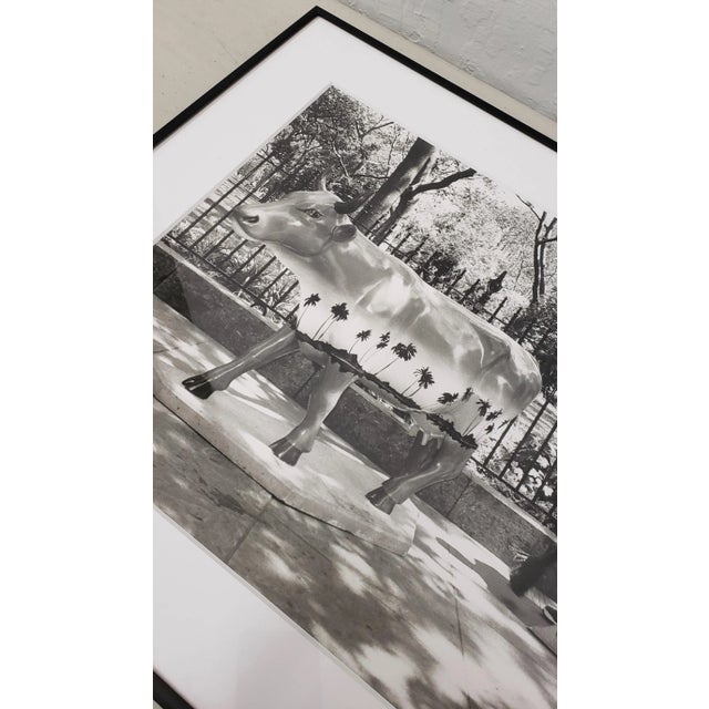 Leo Theinert (American) "Clean Sweep" Original Black and White Silver Gelatin Photograph 20th C. For Sale - Image 4 of 9