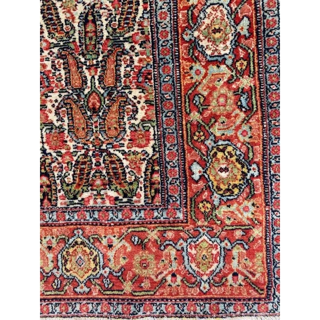 Kurdish Senneh Rug For Sale - Image 13 of 18