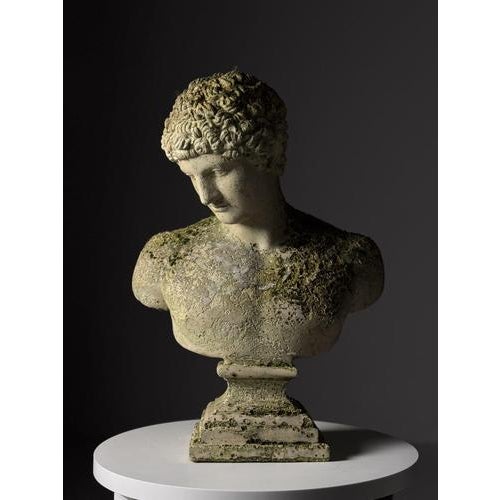Bust of Hermes in Plaster For Sale - Image 4 of 18