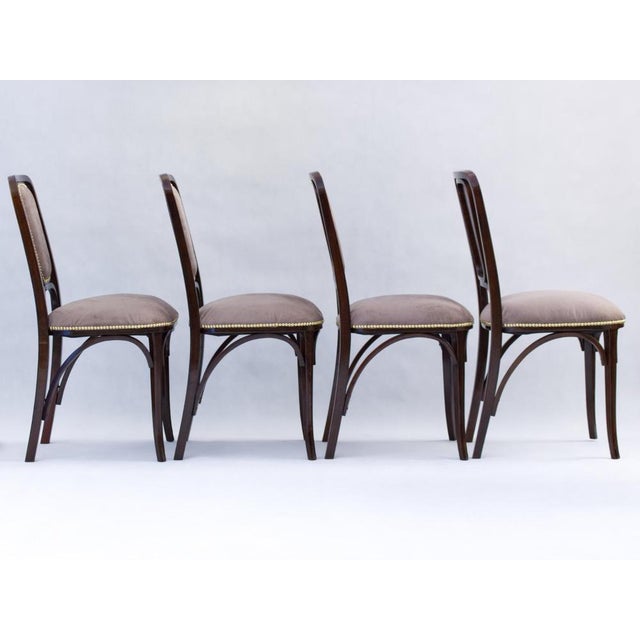 Art Noveau Bentwood Chairs from Thonet, 1905, Set of 4 For Sale - Image 4 of 11