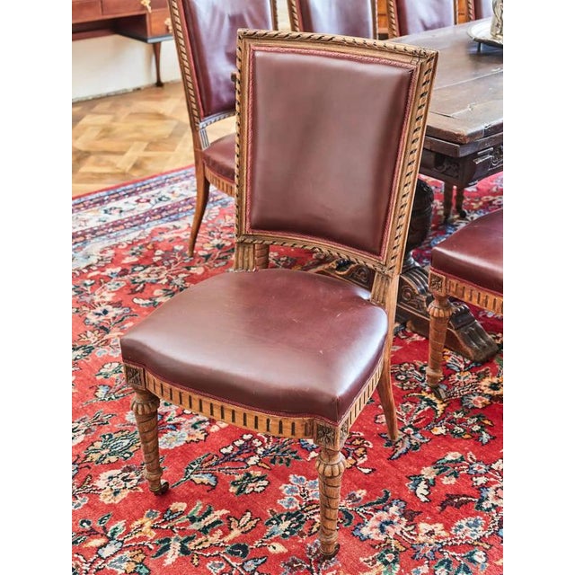 2000 - 2009 Antique Louis XVI Chairs in Carved Leather, Set of 10 For Sale - Image 5 of 16