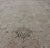 Fine Weave Sivas Rug in Ivory and Brown by Keivan Woven Arts 10'4 X 13'6 For Sale - Image 4 of 13