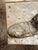 Plat. Victor, Dachshunds, 1960s, Oil on Canvas, Framed For Sale - Image 13 of 18