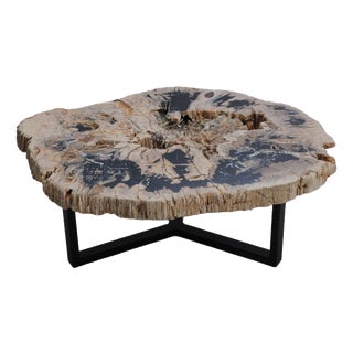 Petrified Wood Coffee Table with Crystals by Xyleia Petrified Wood For Sale