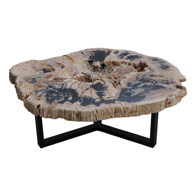 Petrified Wood Coffee Table with Crystals by Xyleia Petrified Wood For Sale
