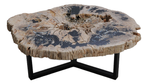 Petrified Wood Coffee Table with Crystals by Xyleia Petrified Wood