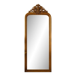 Vintage French Louis XV Arched Rectangle Rococo Floor Mirror For Sale