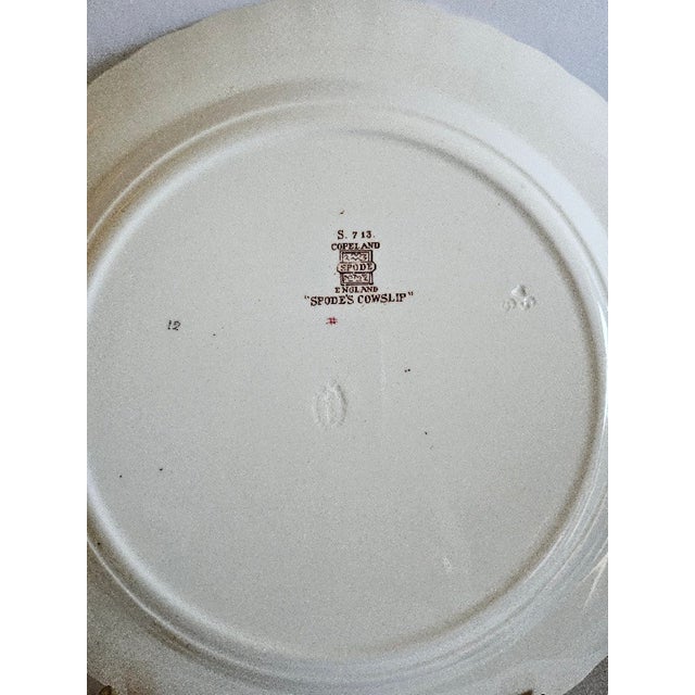 Add a touch of classic English charm to your table with this beautiful vintage Copeland Spode's *Cowslip* dinner plate....