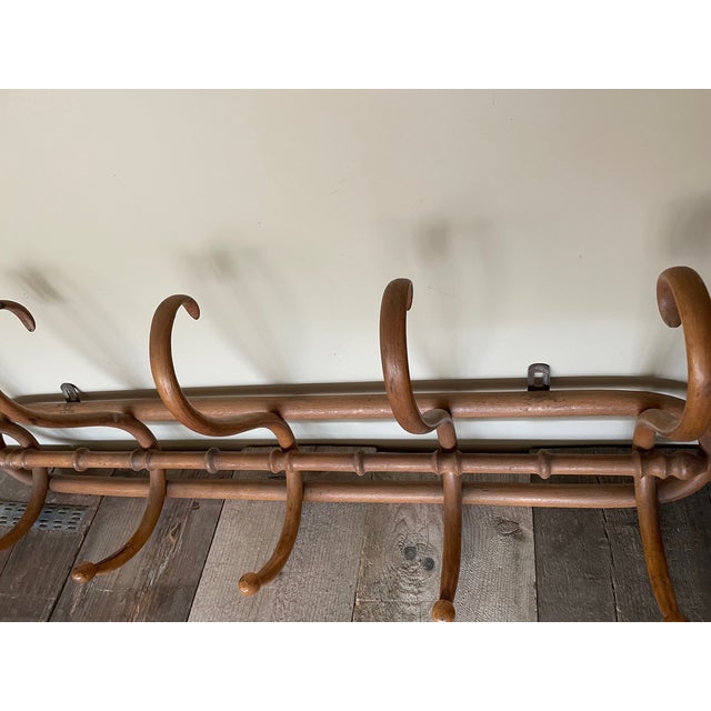 Antique Coat Rack from Jacob & Josef Kohn, 1890s For Sale - Image 3 of 10