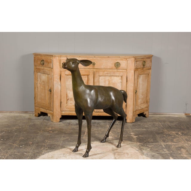 Metal Continental 1930s Life Size Bronze Sculpture of a Deer Standing on its Four Legs For Sale - Image 7 of 12