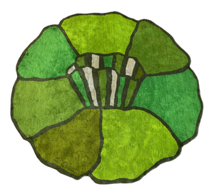 German Flower Rug by Wolf Bauer, 1960s