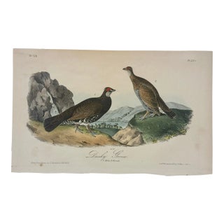 1840 Audubon's Colored Lithograph of the Dusky Grouse For Sale