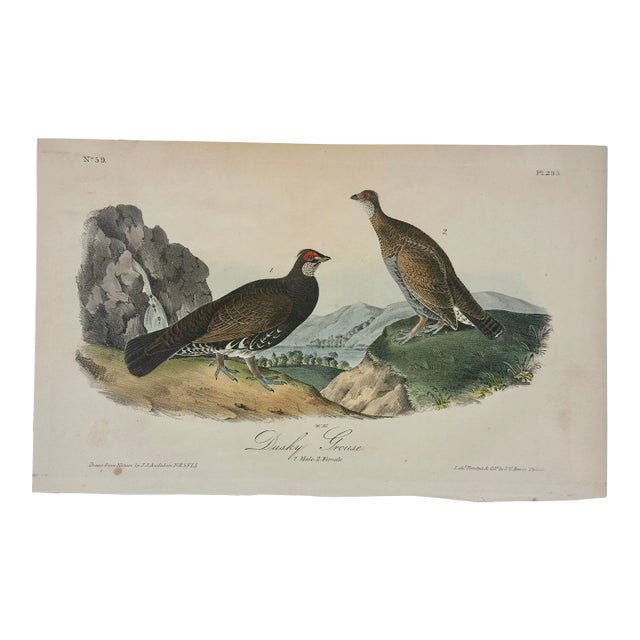 Dusky Grouse by Audubon, 1840 (1st Edition, Octavo) For Sale
