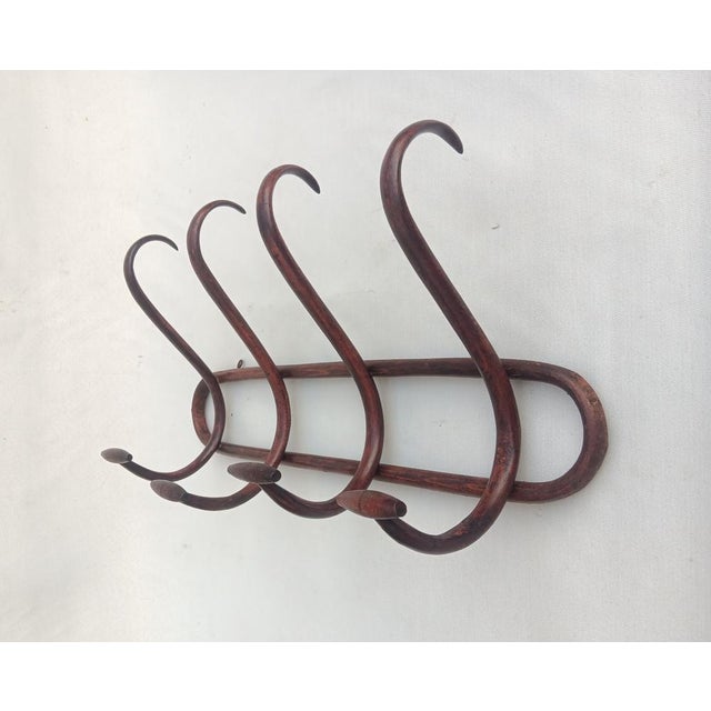 Vintage Bentwood Wall Coat Rack, 1950s For Sale - Image 3 of 6