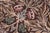 Botanical 1990's Pak-Persian Brown/Gray Wool Round Rug- 6'2'' X 6'3'' For Sale - Image 4 of 9