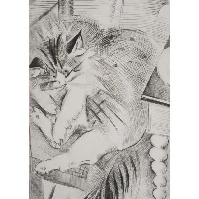 Mily Possoz, Sleeping Cat, Original Signed Engraving For Sale - Image 6 of 9