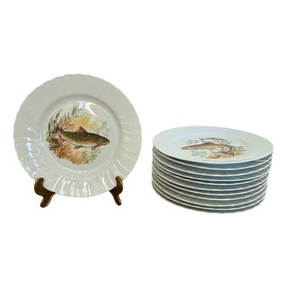 Porcelain Fish Plates Service for 12 with Hand-Painted Freshwater Fish from Limoges, France, 1930s, Set of 12 For Sale
