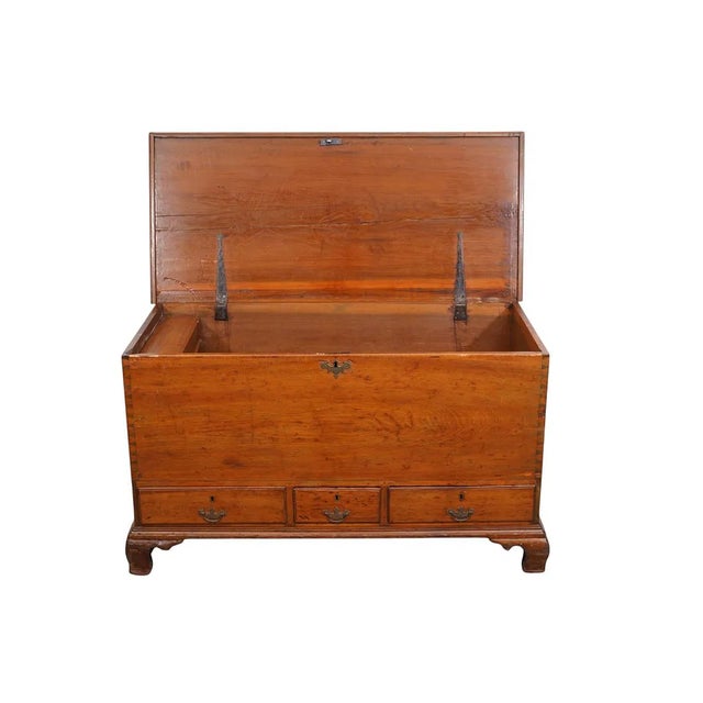 1820s American Pennsylvania Blanket Chest For Sale - Image 9 of 9