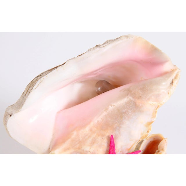 Vintage 1970's Nautical Conch Shell Lamp With Starfish For Sale - Image 4 of 8