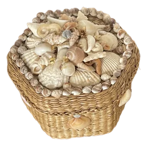 1960s Sea Shell Encrusted Sailors Valentines Box