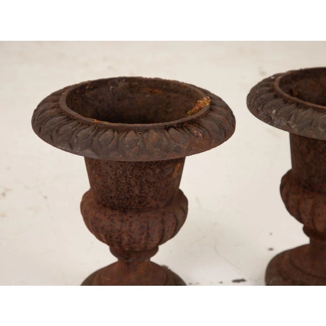 These cast iron urns are a beautiful example of French late 19th-century design. They have a timeless quality that makes...