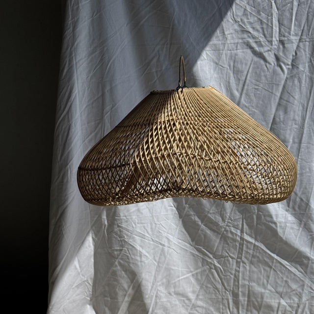 Shape of a Cloud Hanging Lamp, 1980s For Sale - Image 10 of 10