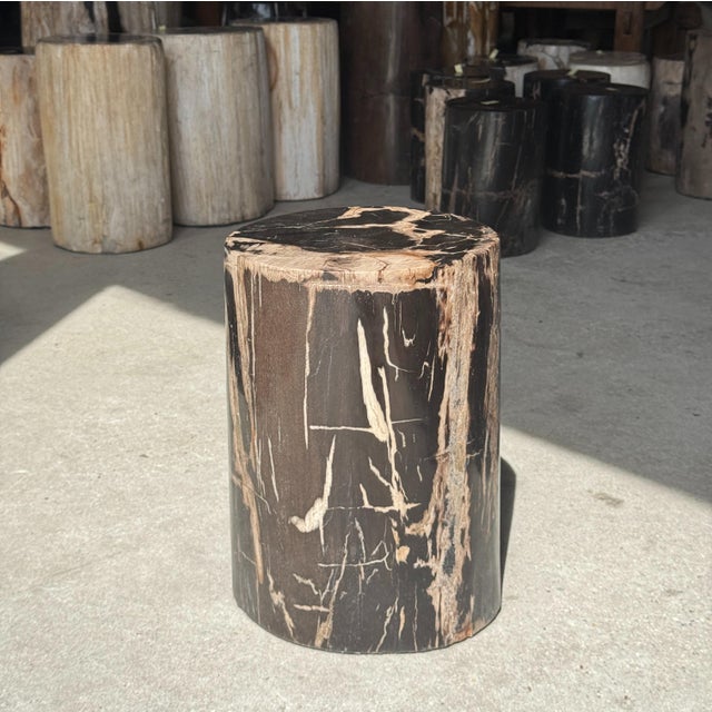 Side Table in Black Petrified Wood with Beige Striations and a Circular Arc For Sale - Image 17 of 18